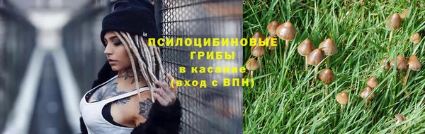 винт Алексин